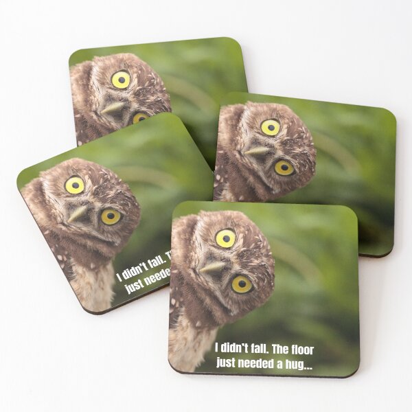 Item preview, funny picture of an owl with a funny quote to match designed and sold by Gaynor Burrows.