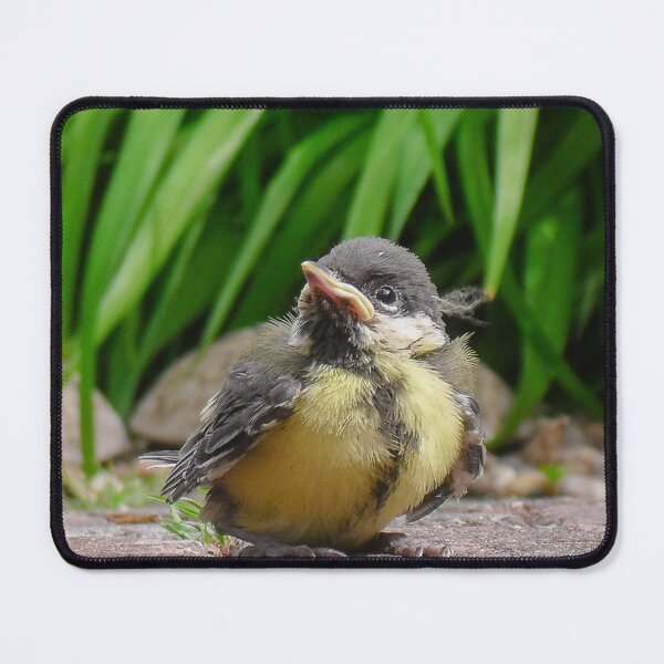 Item preview, Low res bird designed and sold by Theo van Es.