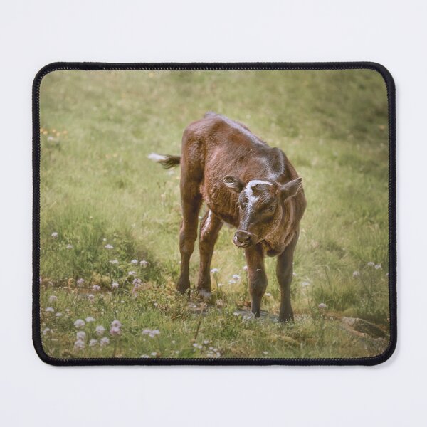 Item preview, Cute calf among flowers designed and sold by Svetlana Korneliuk.