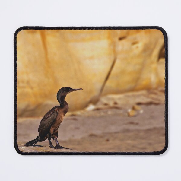 Item preview, Cormorant photo with high resolution quality designed and sold by Allyouneed-2.