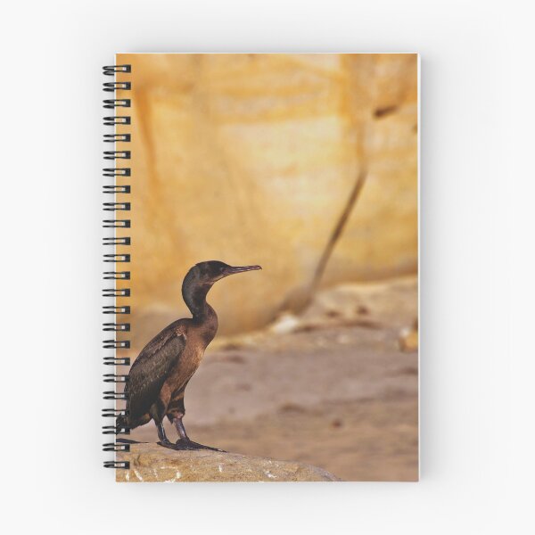 Item preview,  Cormorant photo with high resolution quality designed and sold by Allyouneed-2.