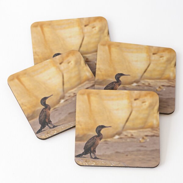Item preview,  Cormorant photo with high resolution quality designed and sold by Allyouneed-2.