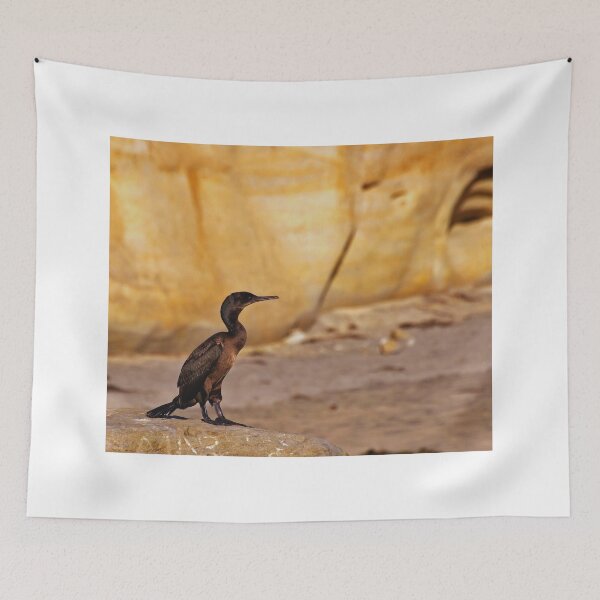 Item preview,  Cormorant photo with high resolution quality designed and sold by Allyouneed-2.