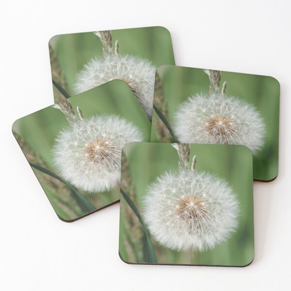 Item preview, White dandelion flower designed and sold by Theo van Es.