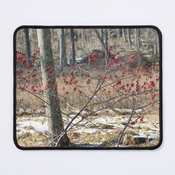 Item preview, Red Berries designed and sold by Izayo-Darke1.