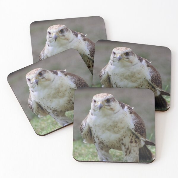 Item preview, Also a bird, also has wings. designed and sold by Theo van Es.