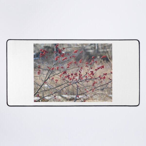 Item preview, Winter Red designed and sold by Izayo-Darke1.
