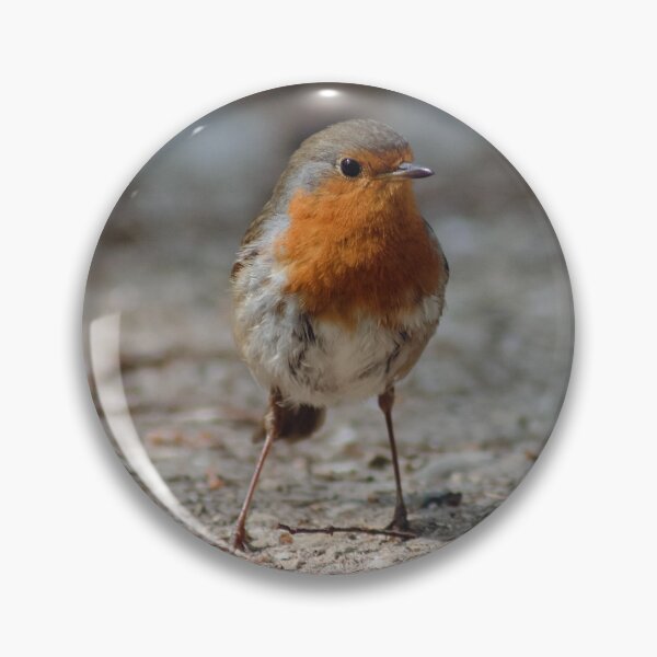 Item preview, A red robin (bird) designed and sold by Theo van Es.