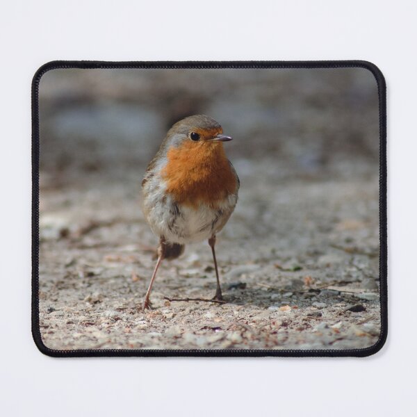 Item preview, A red robin (bird) designed and sold by Theo van Es.