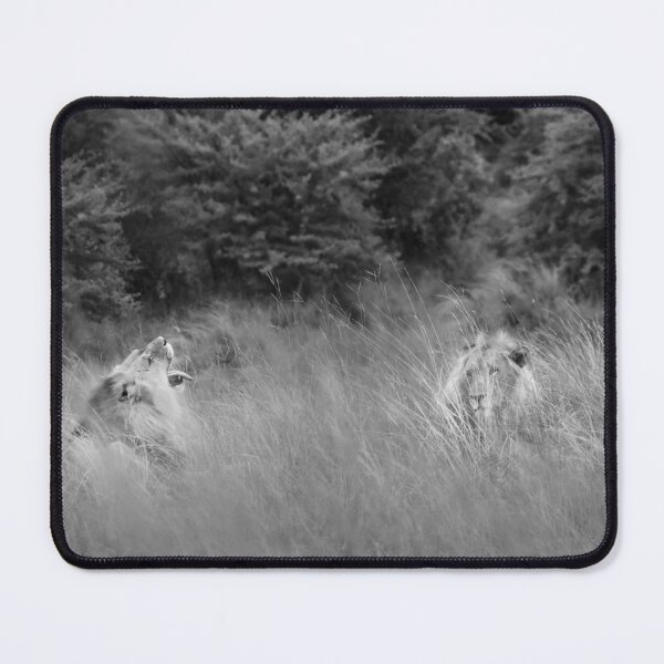 Item preview, Lions in Black and White designed and sold by vrphotographysa.