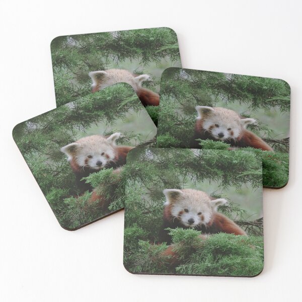 Item preview, Red Panda in Tree designed and sold by Theo van Es.