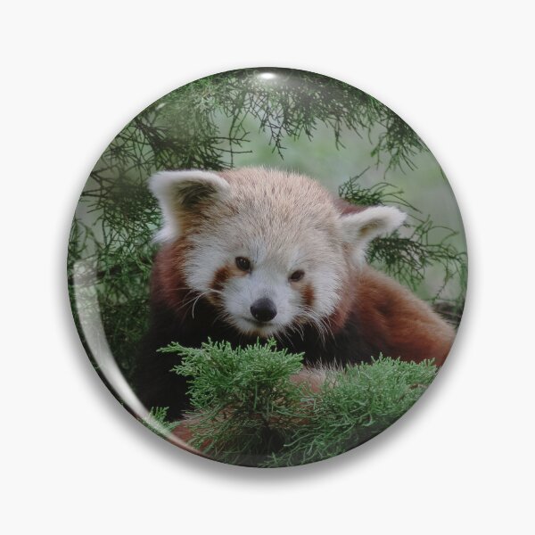 Item preview, Red Panda in Tree designed and sold by Theo van Es.