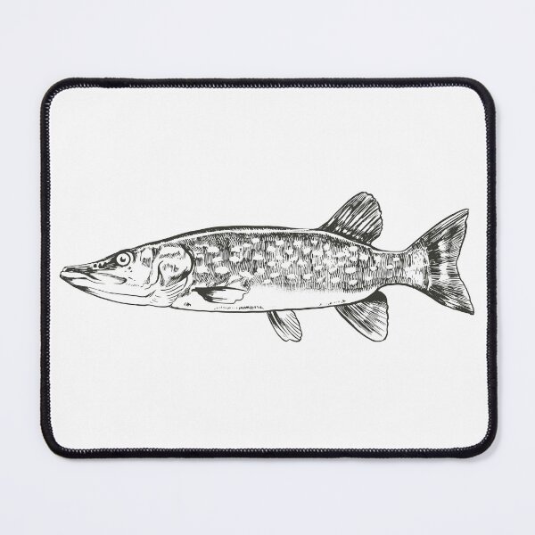 Item preview, Kopie von Pollack - Koehler - Fish - Cod designed and sold by Shirtey.
