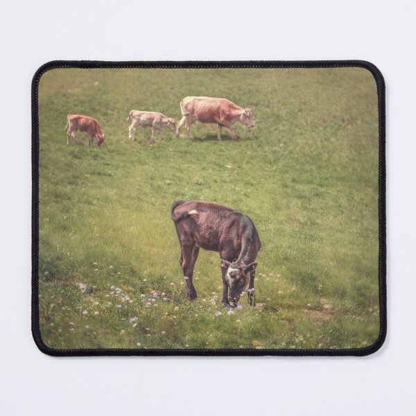 Item preview, Calf and cows in a mountain pasture designed and sold by Svetlana Korneliuk.