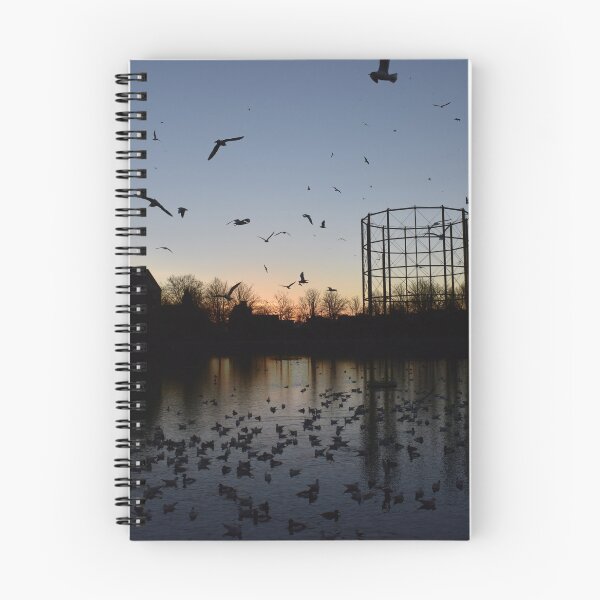 Item preview, All The Birds At Dusk (London) designed and sold by jezkemp.