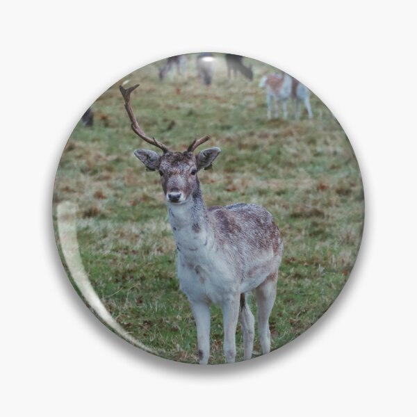 Item preview, Stag leading his does in Phoenix Park designed and sold by Theo van Es.