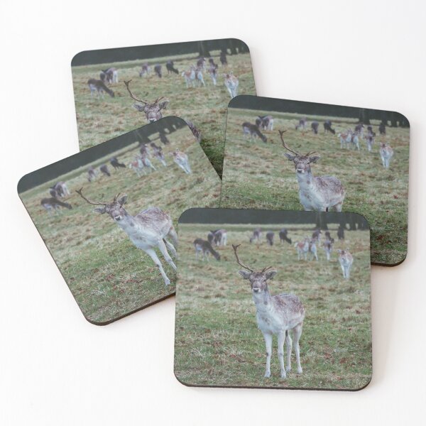 Item preview, Stag leading his does in Phoenix Park designed and sold by Theo van Es.