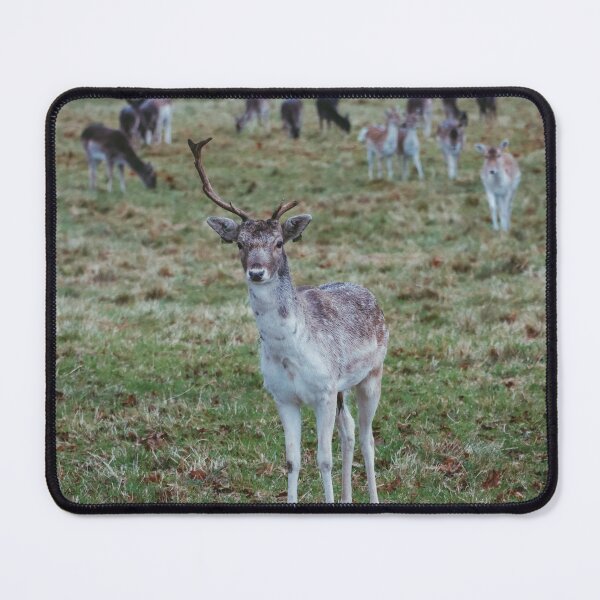 Item preview, Stag leading his does in Phoenix Park designed and sold by Theo van Es.