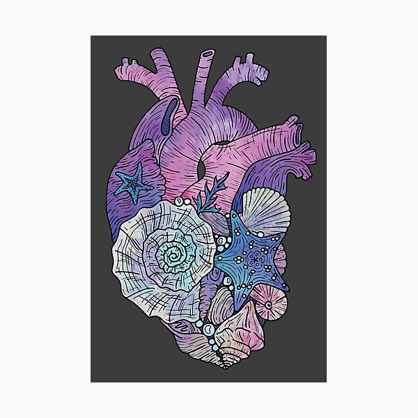 ' Mermaids Heart ' Ocean Inspired Illustration Photographic Print