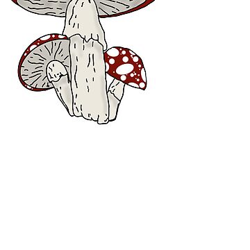 Artwork thumbnail, Big Mushrooms by OBowserDesigns
