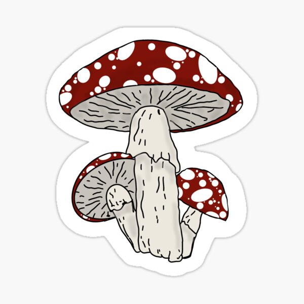 Big Mushrooms Sticker