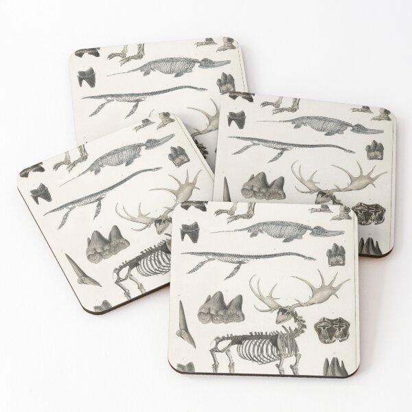 Item preview, Various Animals Bone Structure Vintage Anatomy Educational Chart designed and sold by POSTERAMALA.