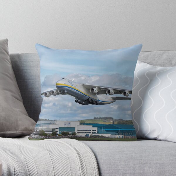 Front View Of Airplane Throw Pillow by Ga161076 