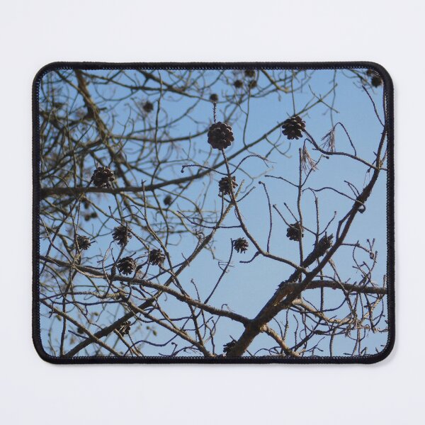 Item preview, Hanging Pinecones designed and sold by Izayo-Darke1.
