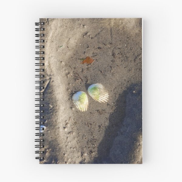 Item preview, Angel on the beach (seashells) designed and sold by Theo van Es.