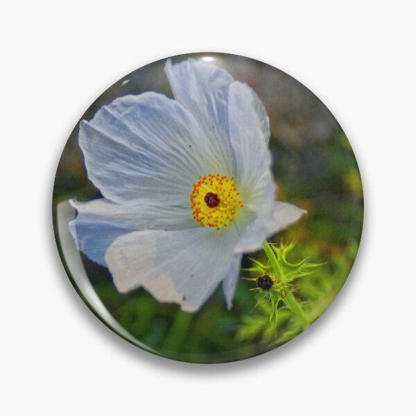 Item preview, Sympathy 3 designed and sold by Texas Enfocus Photography.