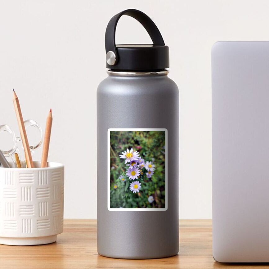 Herbstaster in blau Sticker