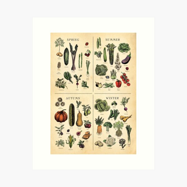 Item preview, Seasonal Fruit and Veg Chart  designed and sold by Highdown73.