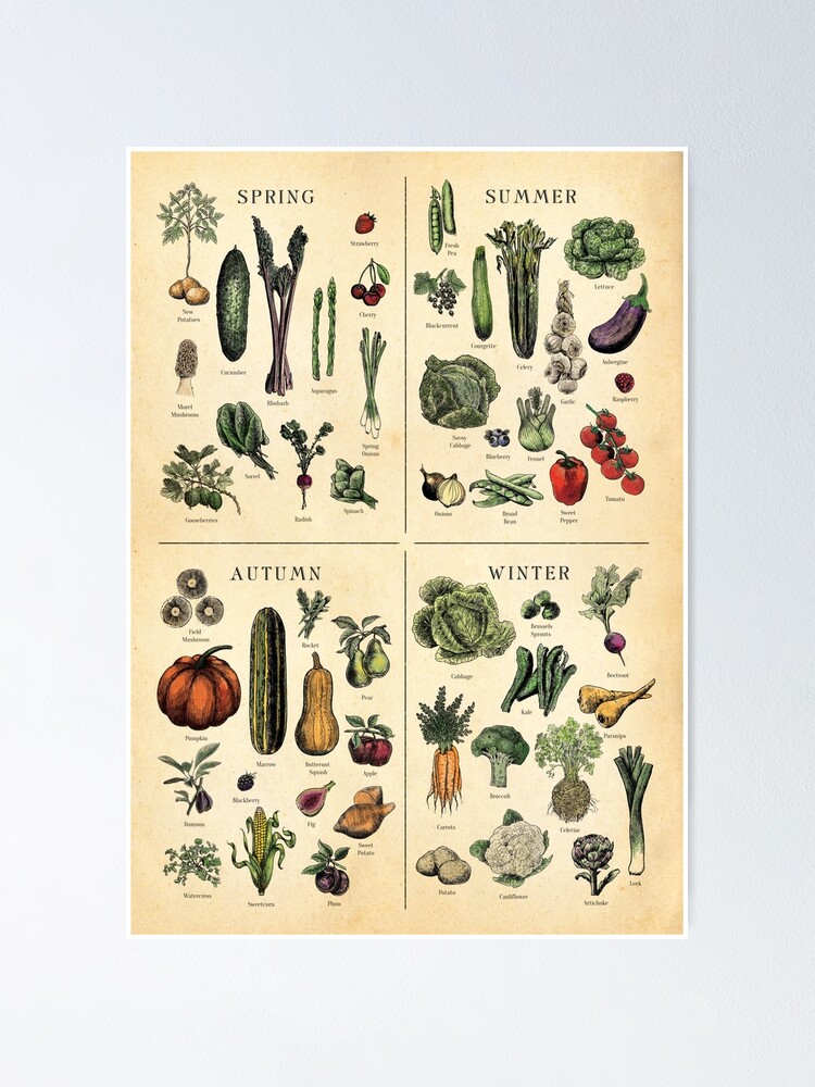 "Seasonal Fruit and Veg Chart " Poster for Sale by Highdown73 Redbubble