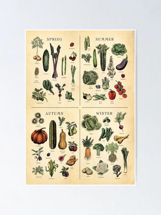 Vintage ＊ gem fruits ＆ vegetable fposter,x_small,wall_texture,