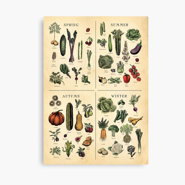 Item preview, Seasonal Fruit and Veg Chart  designed and sold by Highdown73.