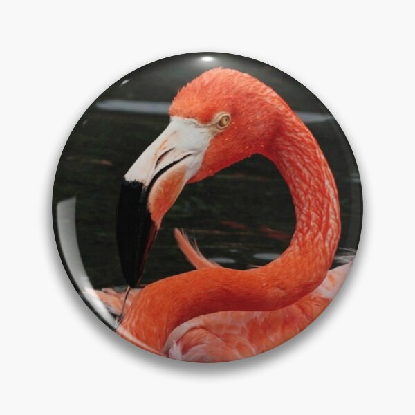 Item preview, Scarlet Flamingo designed and sold by Dead-Moroz.
