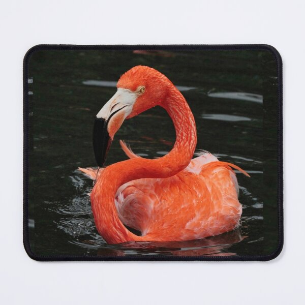 Item preview, Scarlet Flamingo designed and sold by Dead-Moroz.