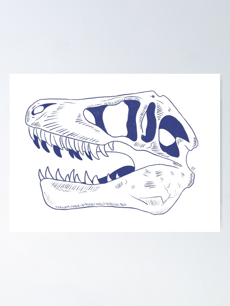 Póster «cráneo de dinosaurio» de Lilly9926 | Redbubble Póster «cráneo de dinosaurio» de Lilly9926 | Redbubble