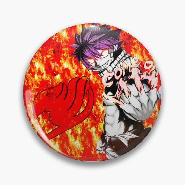 Japan Anime Fairy Tail Natsu Cosplay Badge Lucy Happy Brooch Pins Gray Erza  Collection Badges for