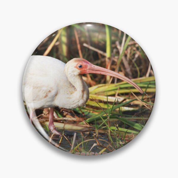 Item preview, Special Friend designed and sold by Texas Enfocus Photography.