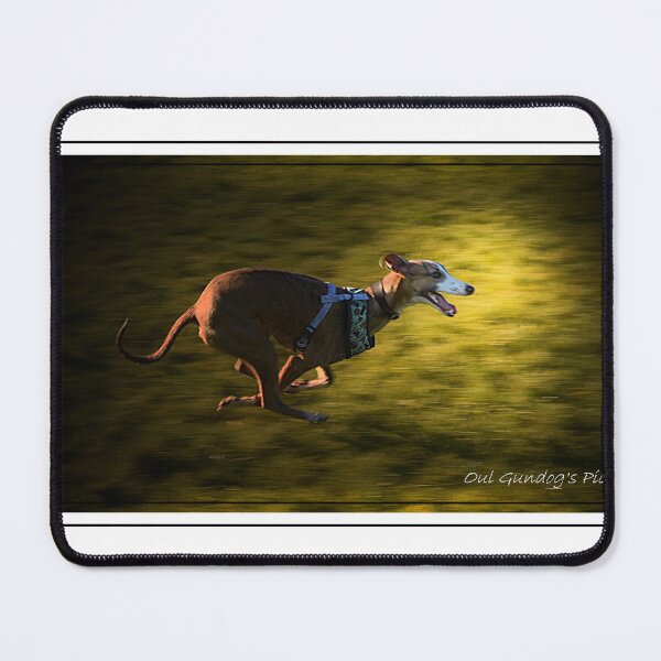 Item preview, The Speedster designed and sold by gundogpic.