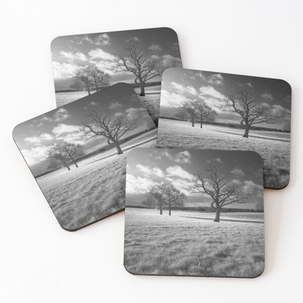 Item preview, Winter Trees designed and sold by Craig Joiner.