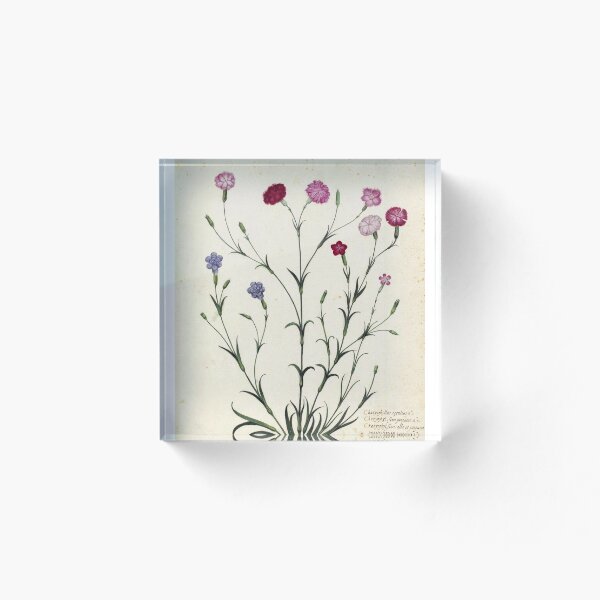Item preview, Vintage Botanical l designed and sold by IvyOwl.