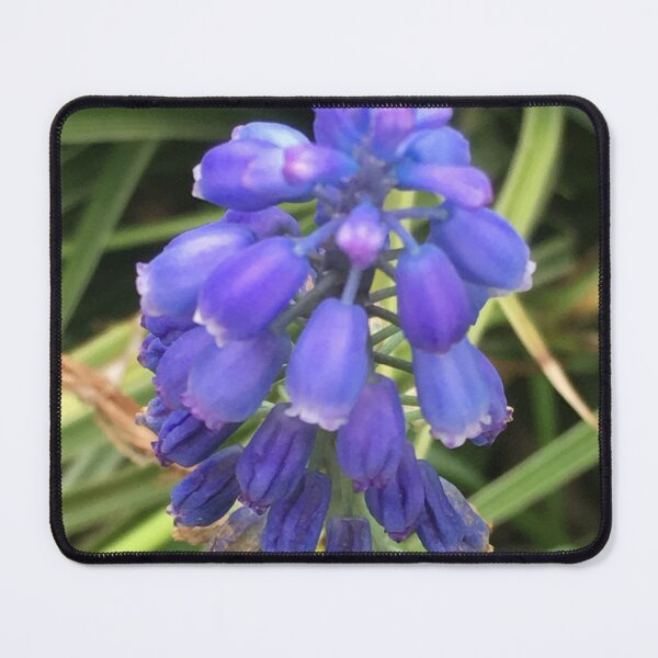 Item preview, Bell-shaped purple flowers designed and sold by Louanne-B.
