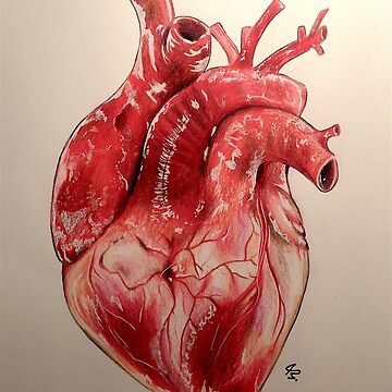anatomical heart with flowers Art Print by maksoileau | Society6