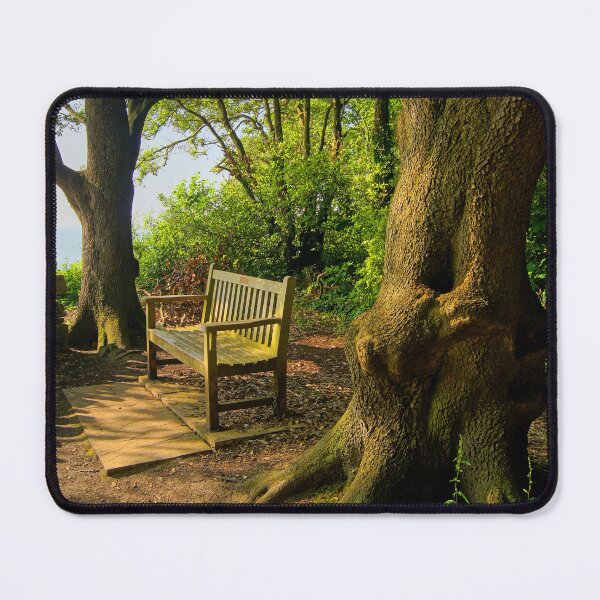 Item preview, Bench with a View, Durlston Bay near Swanage designed and sold by galpinimages.