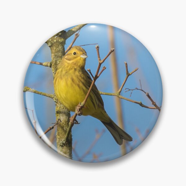 Item preview, Yellowhammer designed and sold by LaurenTucker.