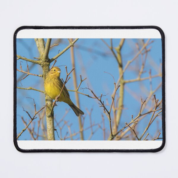 Item preview, Yellowhammer designed and sold by LaurenTucker.
