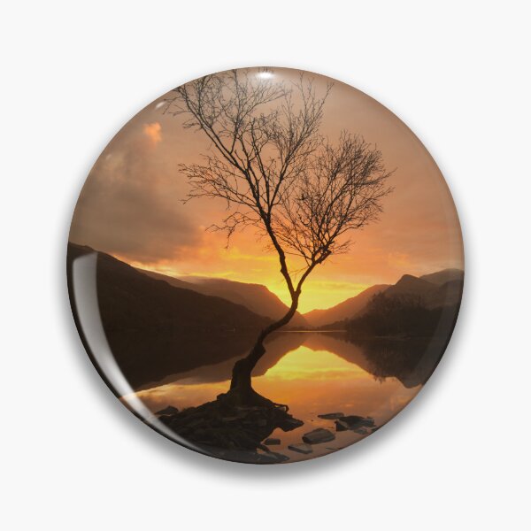 Item preview, Midwinter sunrise Lonely Tree designed and sold by Derren Jones.
