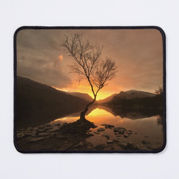 Item preview, Midwinter sunrise Lonely Tree designed and sold by Derren Jones.